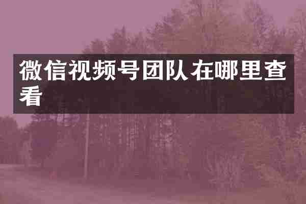 微信视频号团队在哪里查看