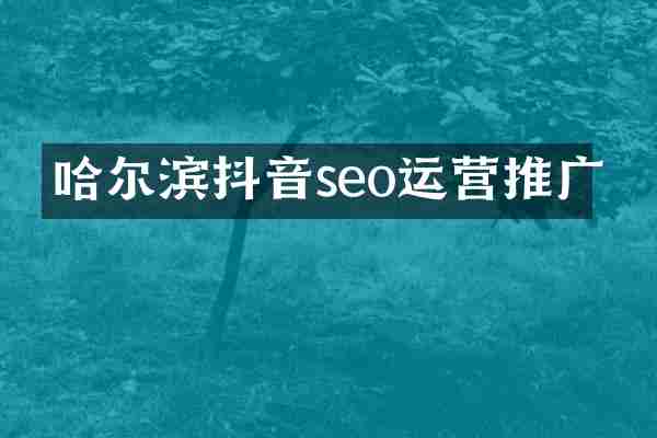 哈尔滨抖音seo运营推广