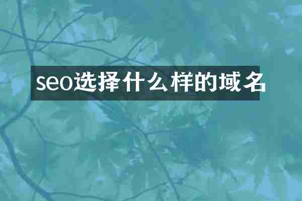 seo选择什么样的域名