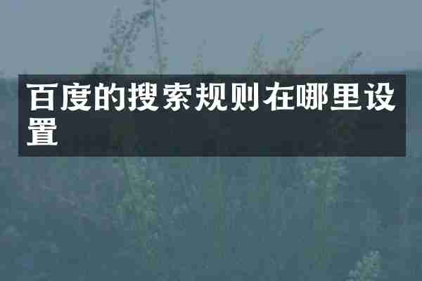 百度的搜索规则在哪里设置