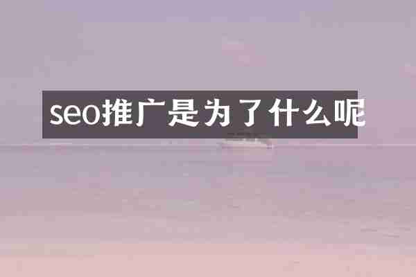 seo推广是为了什么呢