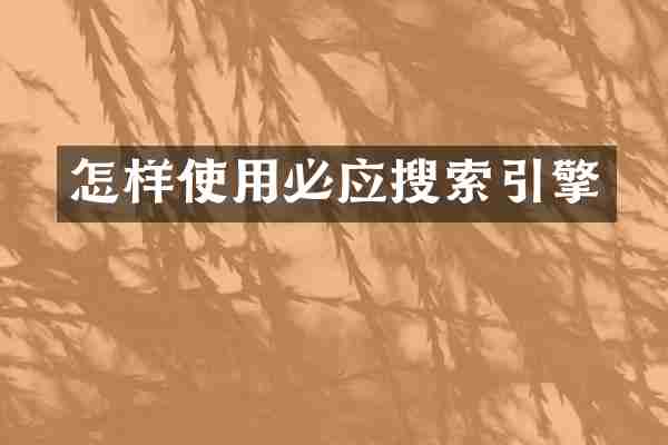 怎样使用必应搜索引擎