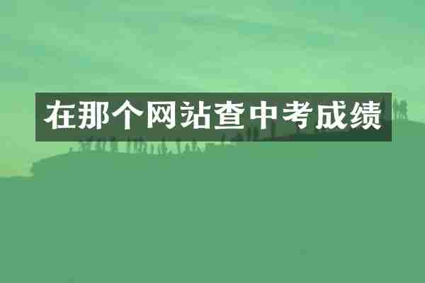 在那个网站查中考成绩