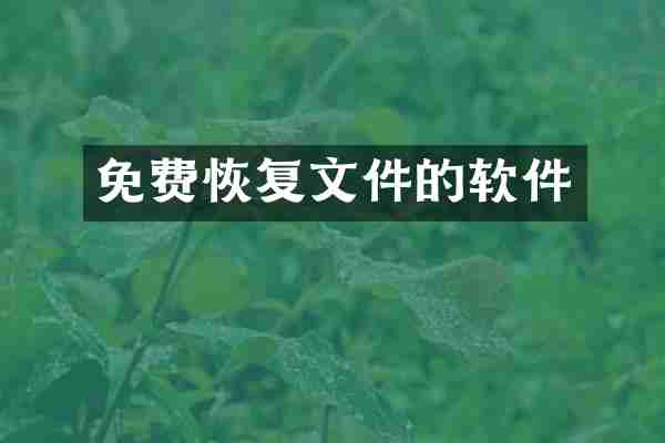 免费恢复文件的软件