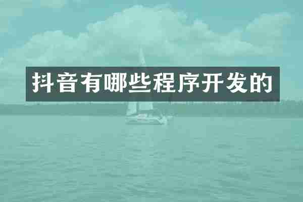 抖音有哪些程序开发的