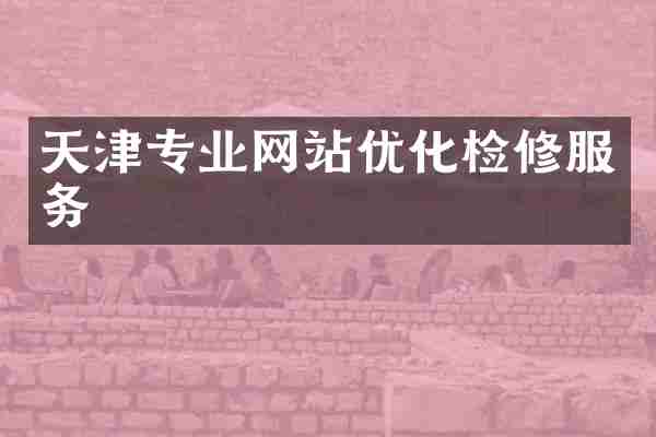 天津专业网站优化检修服务