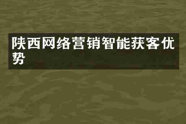 陕西网络营销智能获客优势