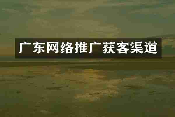 广东网络推广获客渠道
