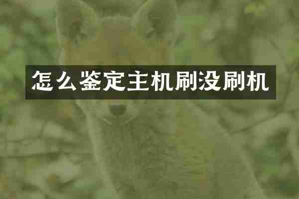 怎么鉴定主机刷没刷机