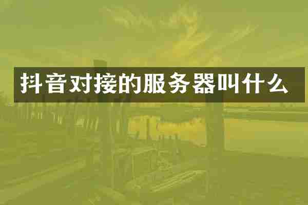 抖音对接的服务器叫什么