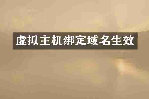 虚拟主机绑定域名生效