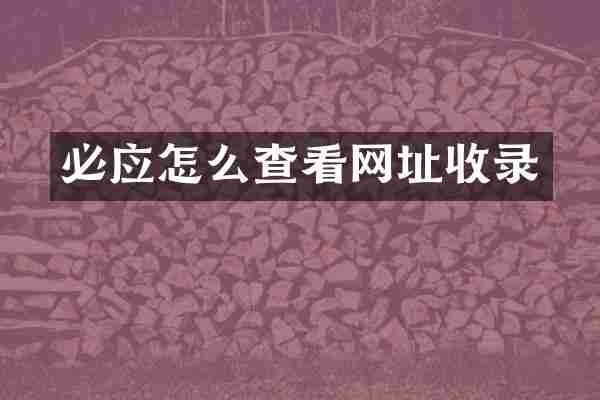 必应怎么查看网址收录