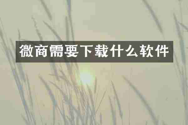 需要下载什么软件