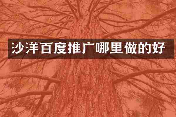 沙洋百度推广哪里做的好