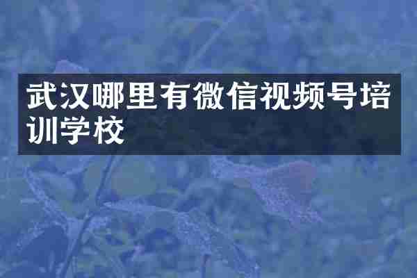 武汉哪里有微信视频号培训学校