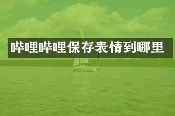哔哩哔哩保存表情到哪里