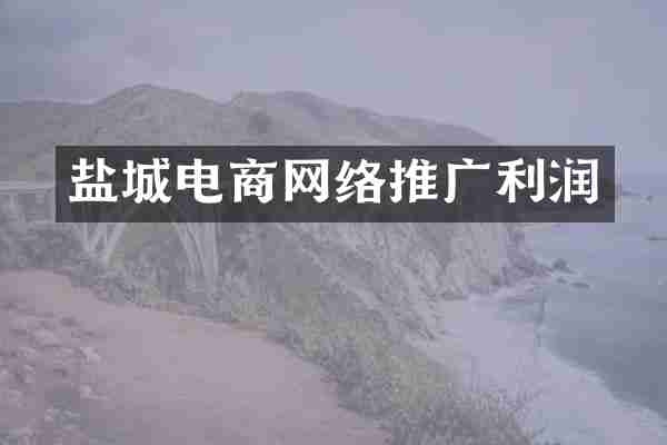 盐城电商网络推广利润