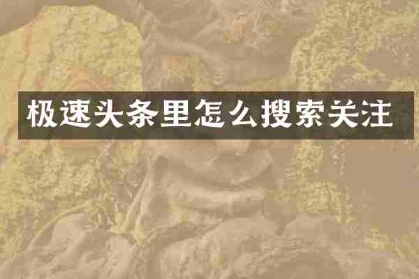 极速头条里怎么搜索关注