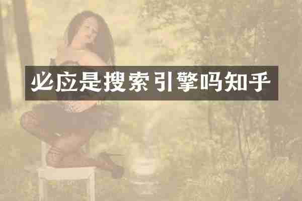 必应是搜索引擎吗知乎