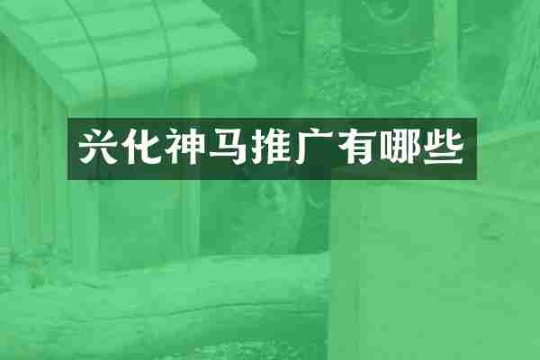 兴化神马推广有哪些