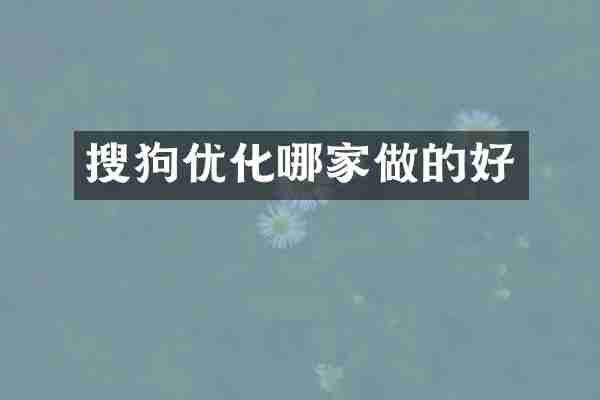 搜狗优化哪家做的好