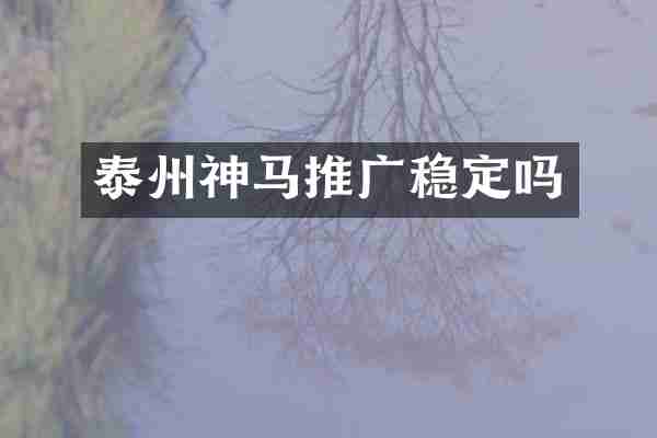 泰州神马推广稳定吗