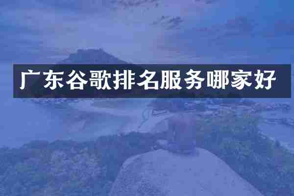 广东谷歌排名服务哪家好