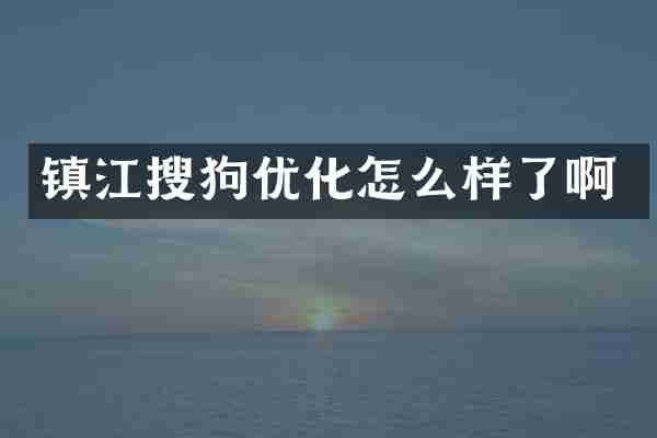 镇江搜狗优化怎么样了啊