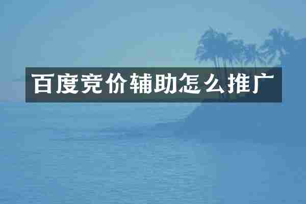 百度竞价辅助怎么推广