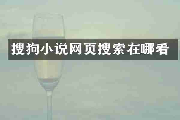 搜狗小说网页搜索在哪看