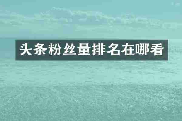 头条粉丝量排名在哪看
