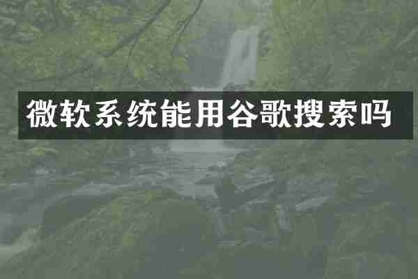微软系统能用谷歌搜索吗