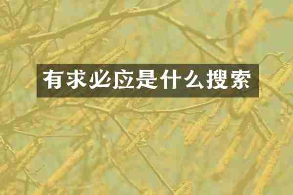 有求必应是什么搜索