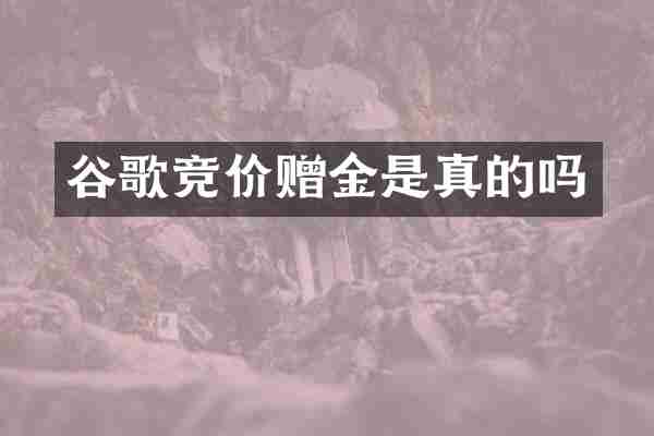 谷歌竞价赠金是真的吗