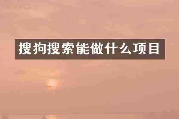 搜狗搜索能做什么项目