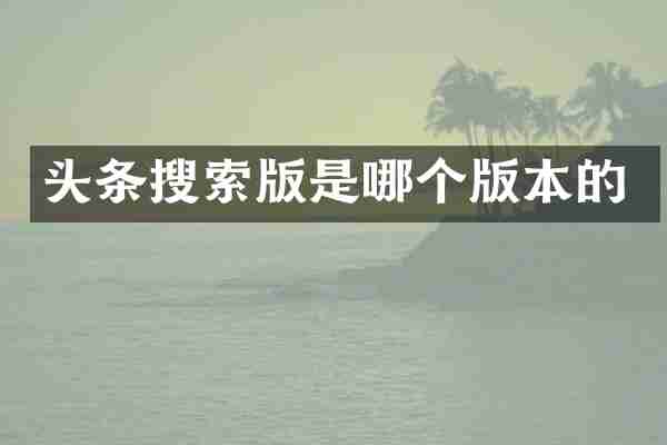 头条搜索版是哪个版本的