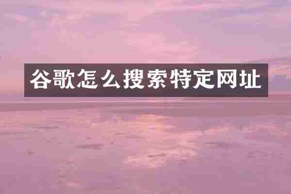 谷歌怎么搜索特定网址