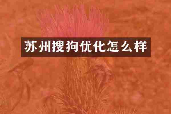苏州搜狗优化怎么样