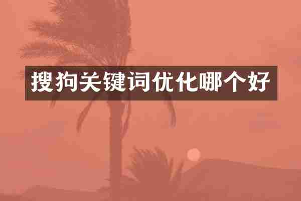 搜狗关键词优化哪个好