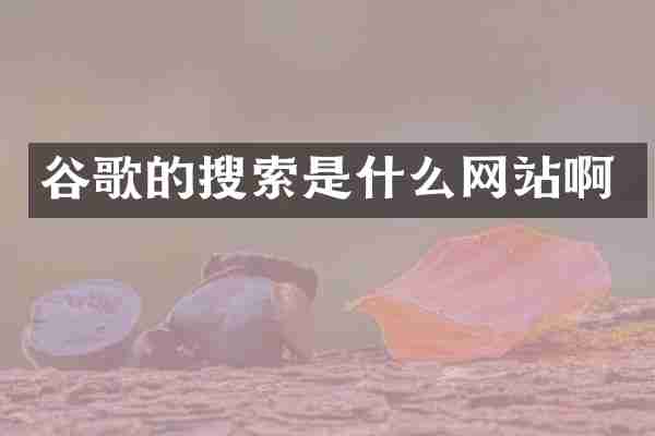谷歌的搜索是什么网站啊