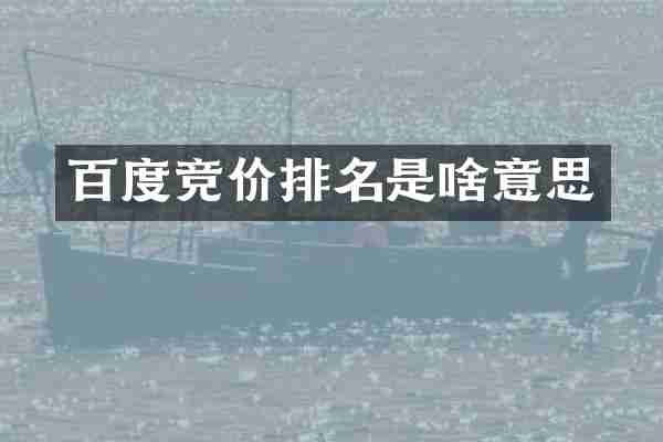 百度竞价排名是啥意思