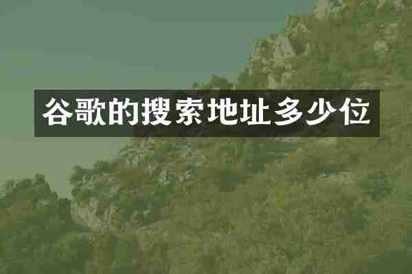 谷歌的搜索地址多少位