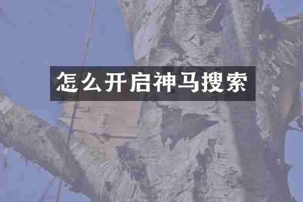 怎么开启神马搜索