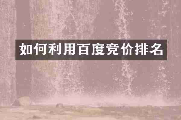 如何利用百度竞价排名