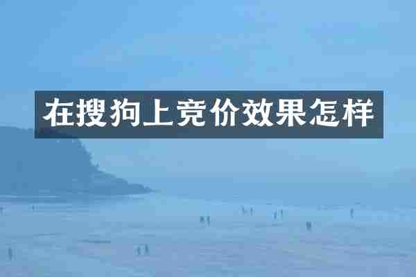 在搜狗上竞价效果怎样