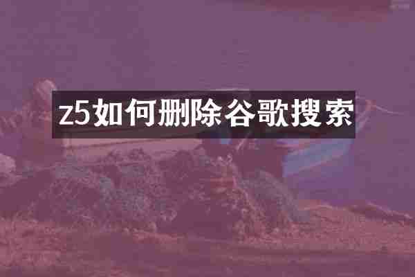 z5如何删除谷歌搜索