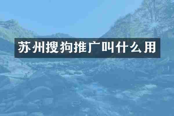苏州搜狗推广叫什么用