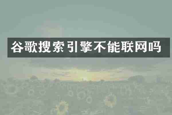 谷歌搜索引擎不能联网吗