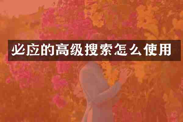 必应的高级搜索怎么使用