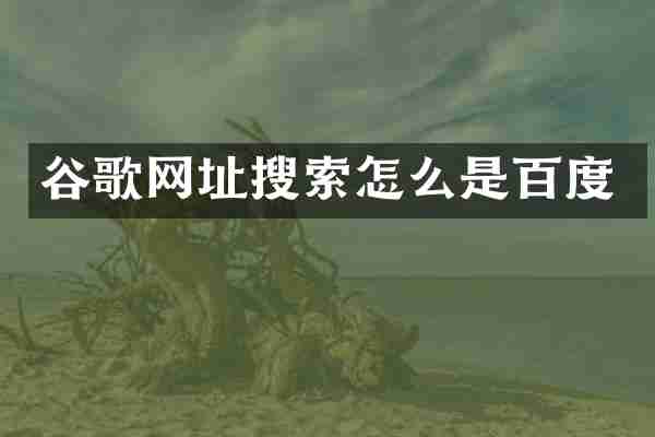 谷歌网址搜索怎么是百度